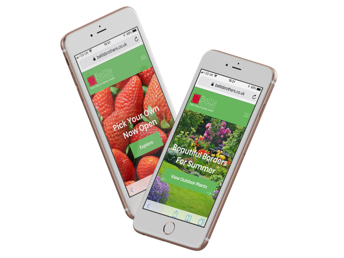 web design Chester